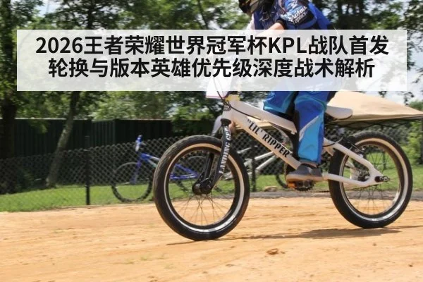 2026王者荣耀世界冠军杯KPL战队首发轮换与版本英雄优先级深度战术解析 - jiuyou game