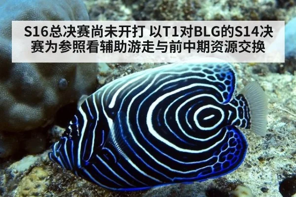 S16总决赛尚未开打 以T1对BLG的S14决赛为参照看辅助游走与前中期资源交换
